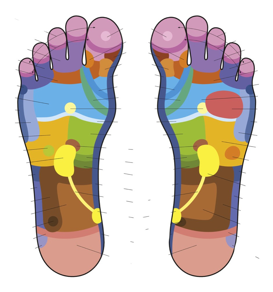 fussreflexzonen, karte, praxis, hoffmann, nagold